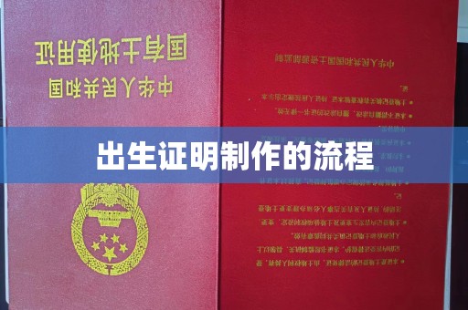 阿拉善左旗出生证明制作的流程