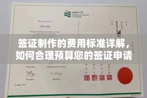 晋安签证制作的费用标准详解，如何合理预算您的签证申请成本